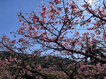 花園新城青森 - 花園新城 物件封面